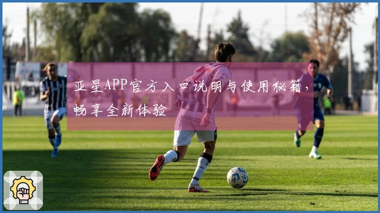 亚星APP官方入口说明与使用秘籍，畅享全新体验