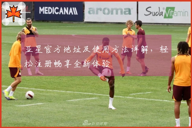 亚星官方地址及使用方法详解，轻松注册畅享全新体验